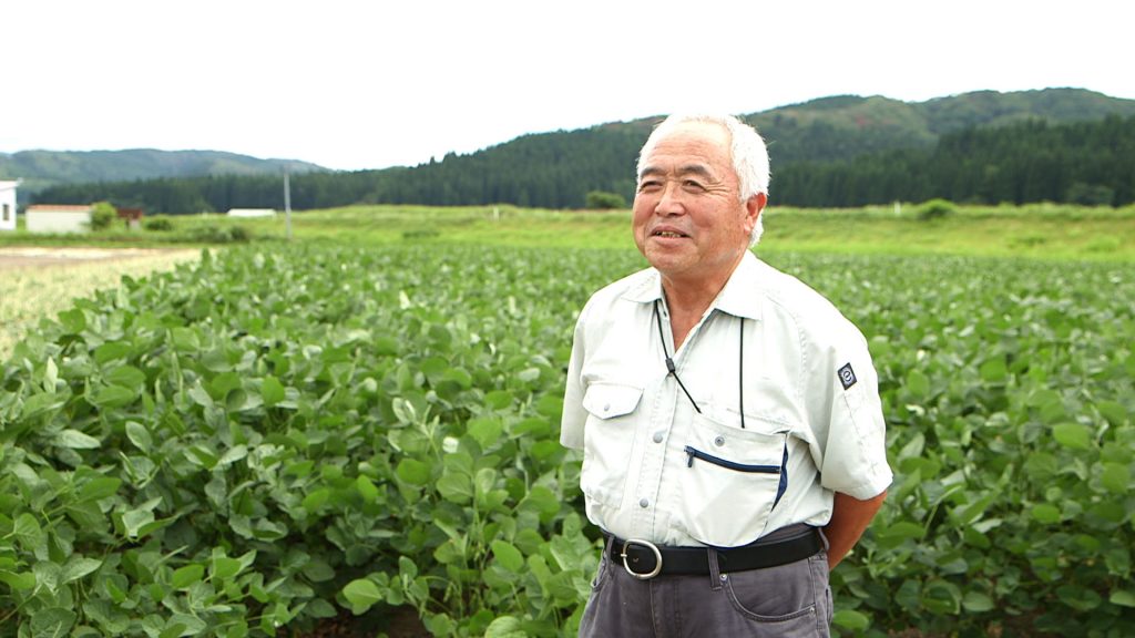 File.052　今朝採りたての「枝豆」