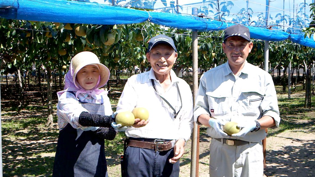 File.053　JA秋田みなみの　「梨・幸水」