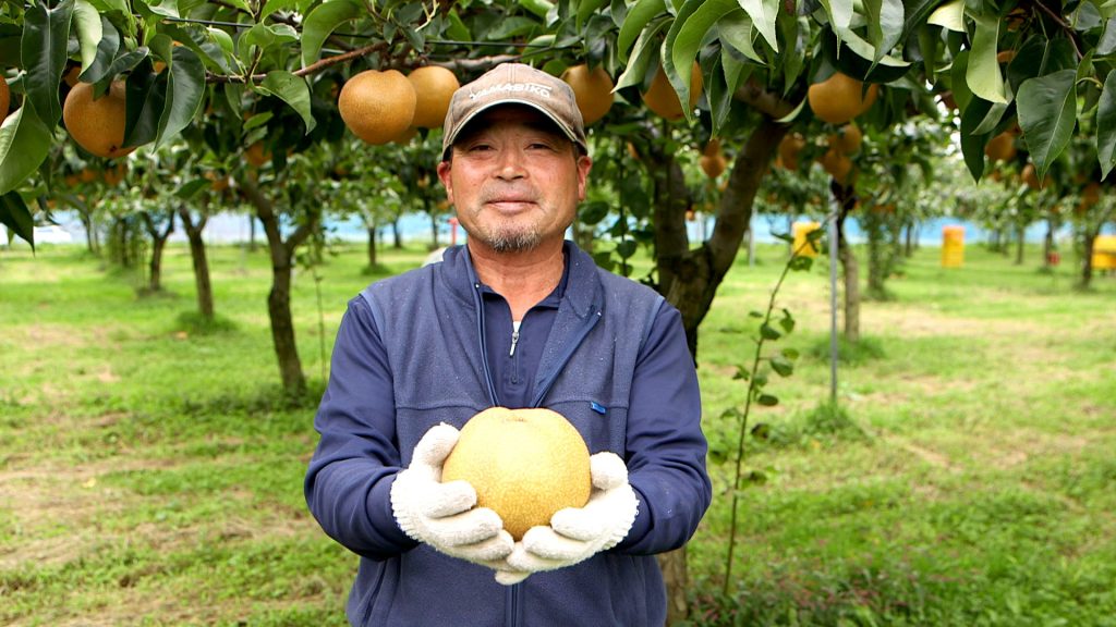 File.055　JA秋田みなみ「梨・秋泉」