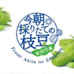 秋田市産「今朝採りたての枝豆」販売のお知らせ