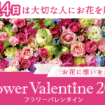 ２月１４日は大切な人にお花を贈る日。 ～Flower Valentine2024～