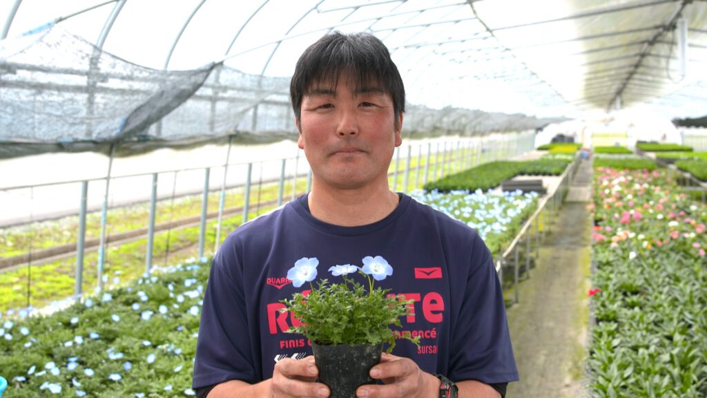File.236　新山園芸　花壇用苗