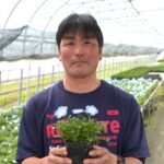 File.236　新山園芸　花壇用苗