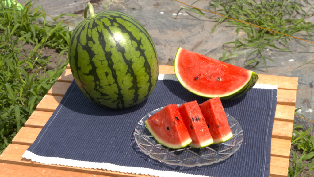 JA秋田ふるさと　あきた夏丸チッチェ