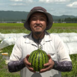 File.242　JA秋田ふるさと　あきた夏丸チッチェ