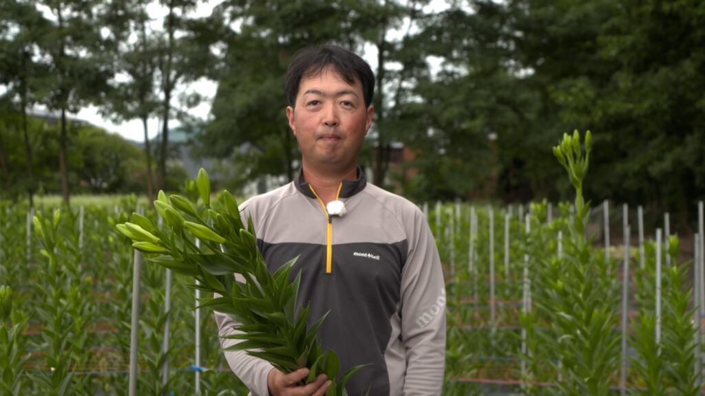 File.245　JAかづの　テッポウユリ