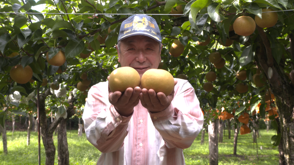 File.246　JAあきた湖東　梨