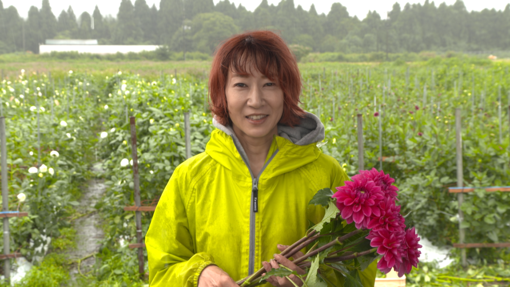 File.247　JA秋田なまはげ　ダリア