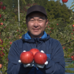 File.249　JAかづの　秋田紅あかり