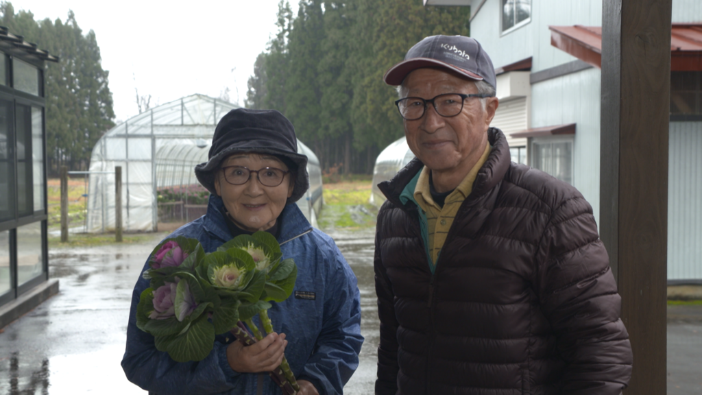 File.251　JA秋田おばこ　葉ボタン　