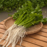 JAこまち　せり