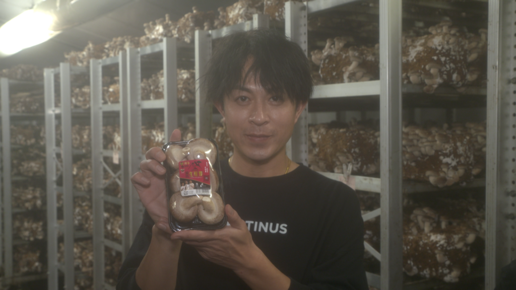 File.252　JA秋田やまもと　菌床しいたけ