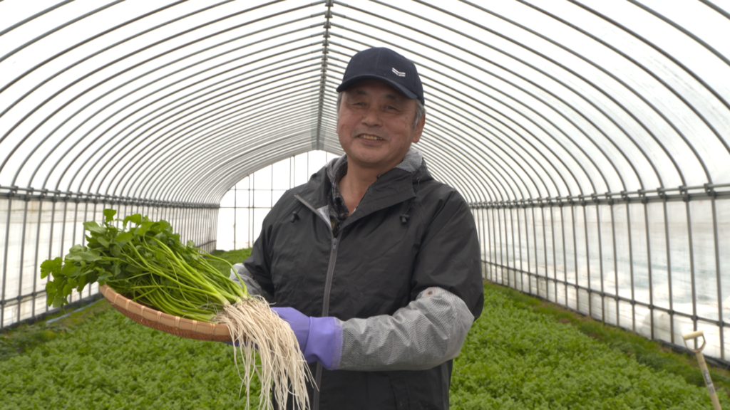 File.253　JAこまち　せり