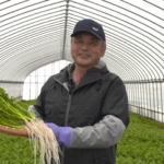 File.253　JAこまち　せり