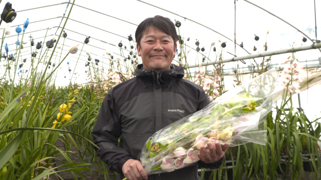 File.255　JA秋田ふるさと　シンビジウム