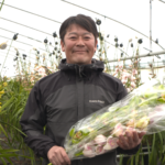 File.255　JA秋田ふるさと　シンビジウム