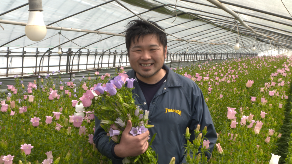 File.258　JAうご　カンパニュラ