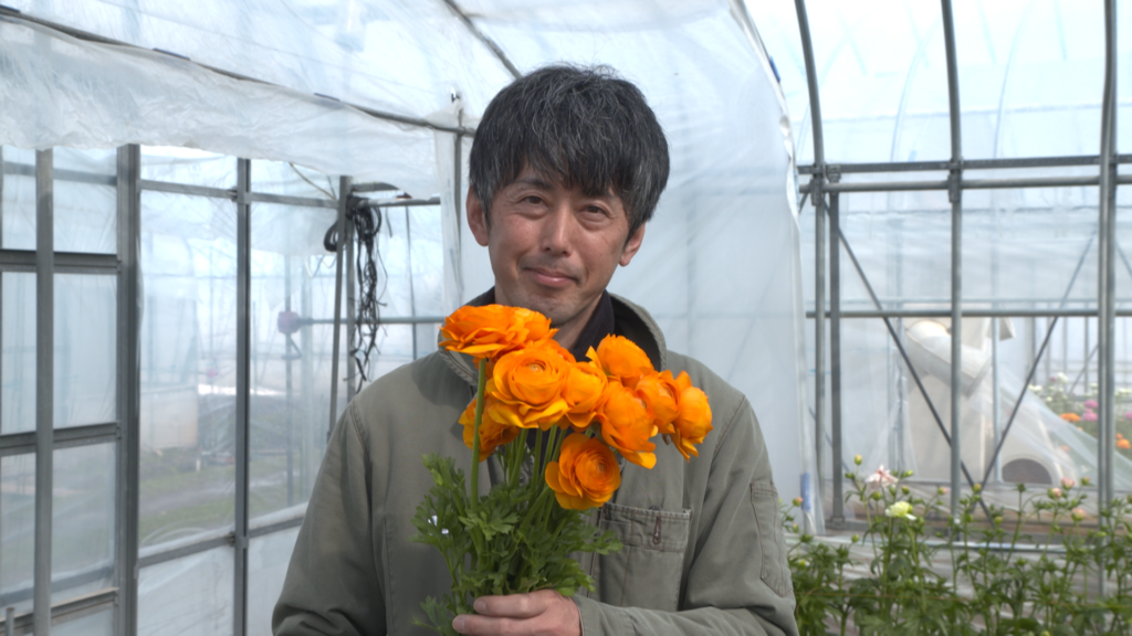 File.257　JAこまち　ラナンキュラス