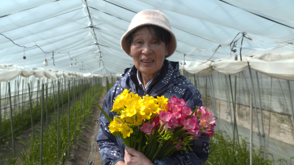 File.260　JAやまもと　フリージア