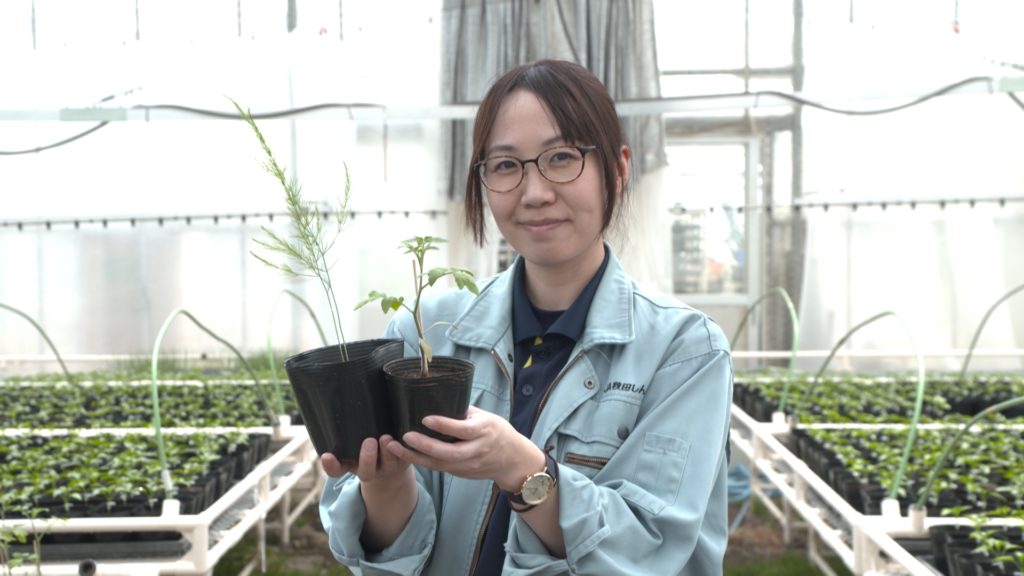 File.259　ベジフル君ニュース　由利野菜種苗供給センター