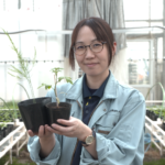 File.259　ベジフル君ニュース　由利野菜種苗供給センター