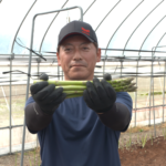 File.261　JA秋田しんせい　アスパラガス