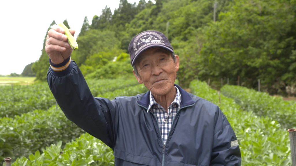 File.263　JA秋田やまもと　そら豆