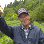 File.263　JA秋田やまもと　そら豆