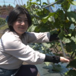 File.265　JAかづの　きゅうり