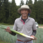 File.270　JAこまち　ネギ