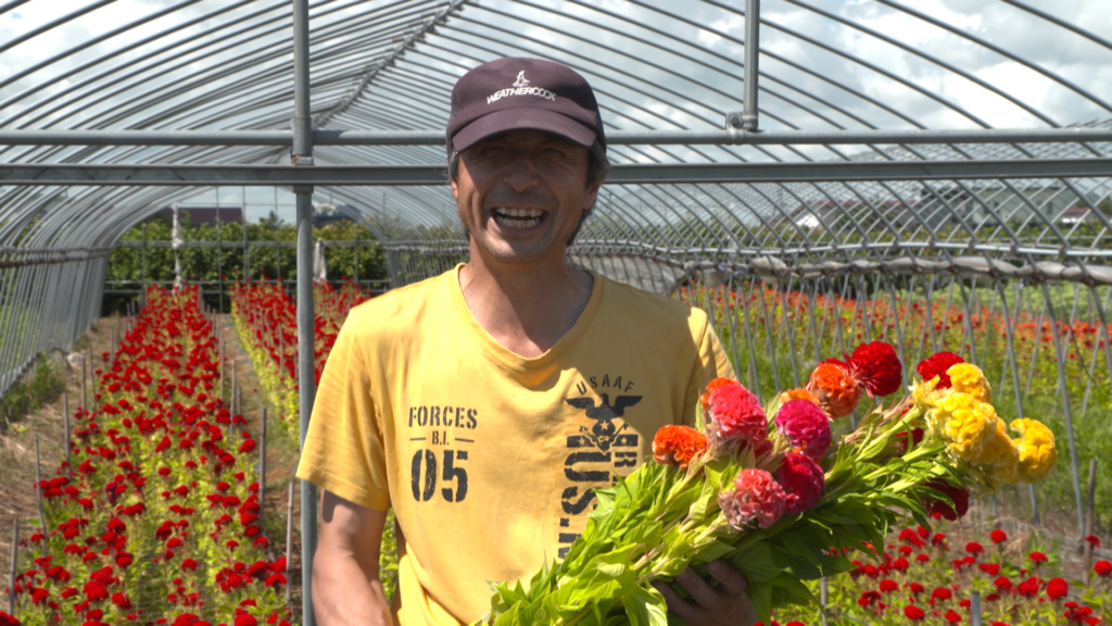 File.269　JA秋田おばこ　ケイトウ